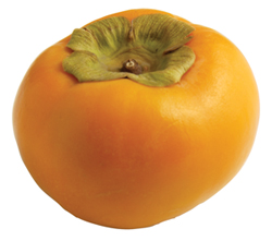 Æ÷Åä´º½º